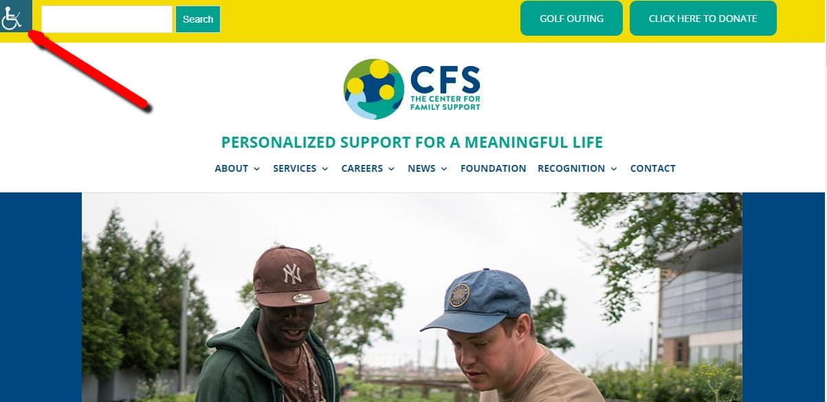 CFSNY website accessibility button