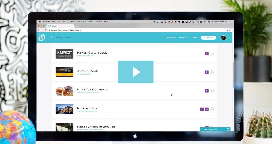 website designer website designer