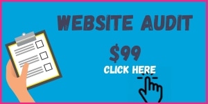 Website Audit $99 - Click Here